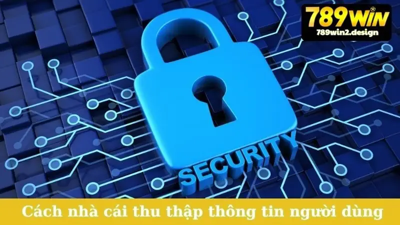 Chính Sách Bảo Mật Cách nhà cái thu thập thông tin người dùng